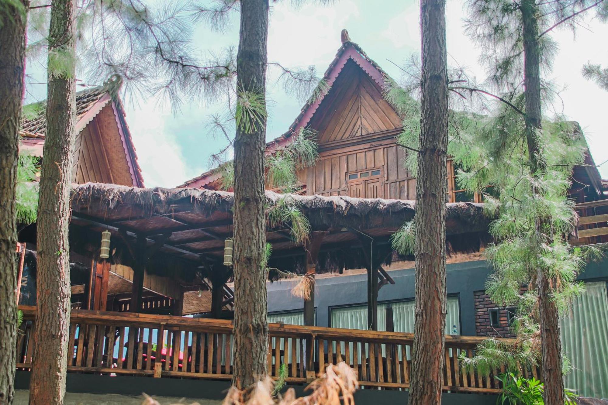 Omah Kayu Bromo Ngadisari Exterior foto