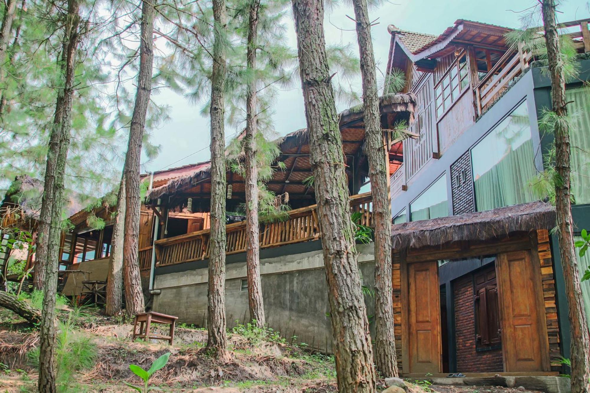 Omah Kayu Bromo Ngadisari Exterior foto