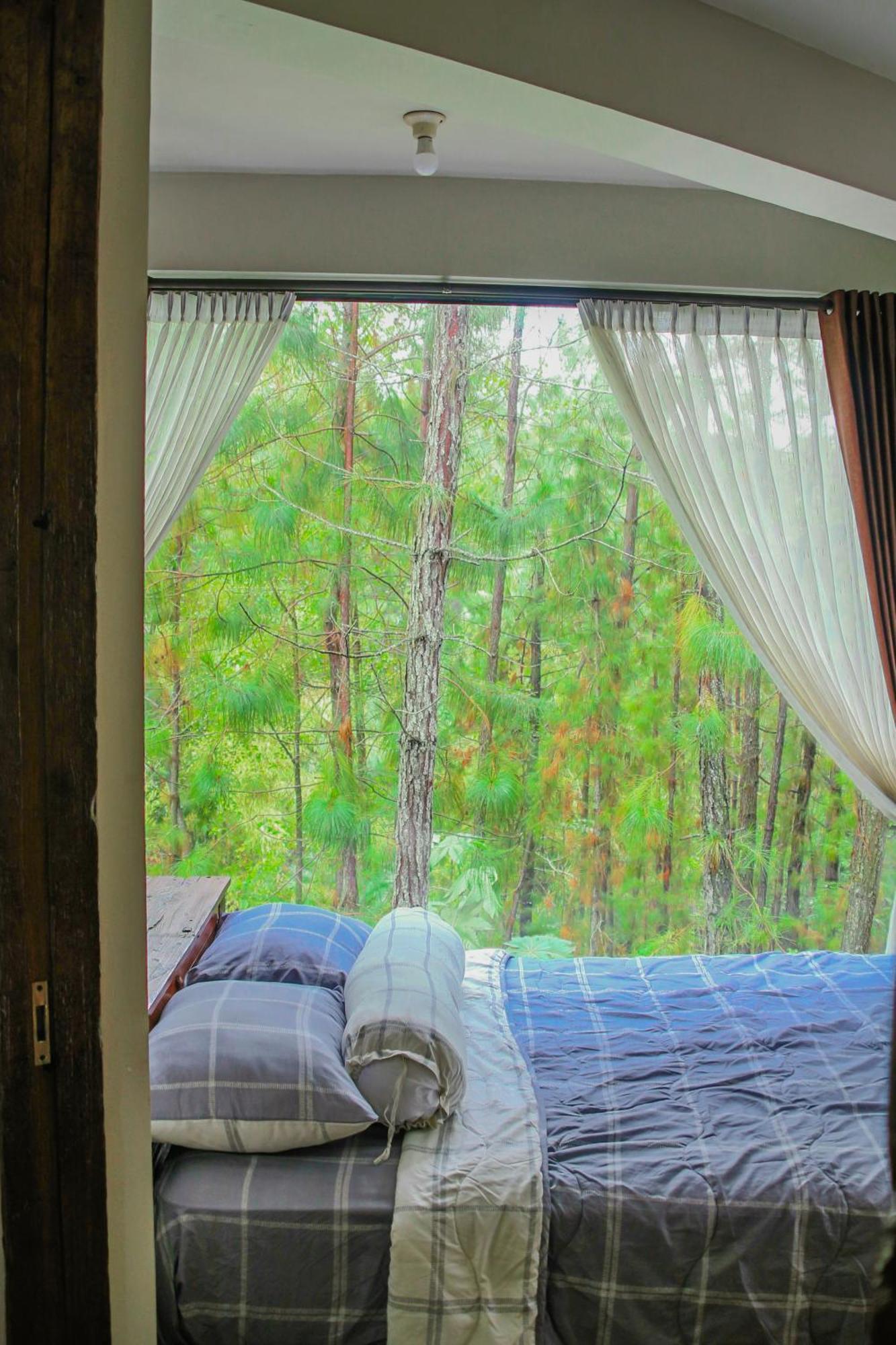 Omah Kayu Bromo Ngadisari Exterior foto
